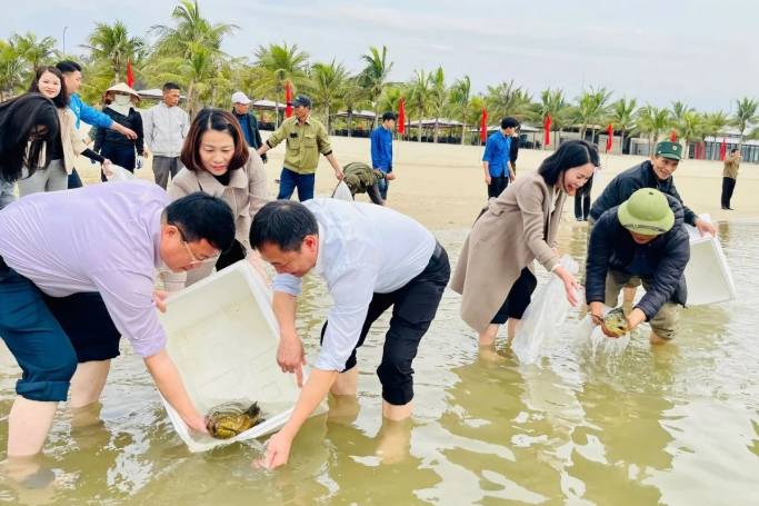 TP Hạ Long thả 200.000 con giống tái tạo nguồn lợi thủy sản